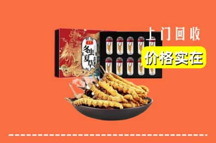 沧州市海兴回收冬虫夏草