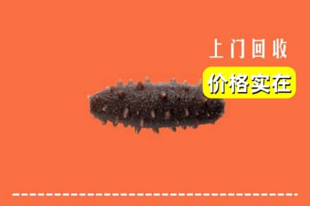 沧州市海兴回收海参
